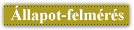 llapot-felmrs